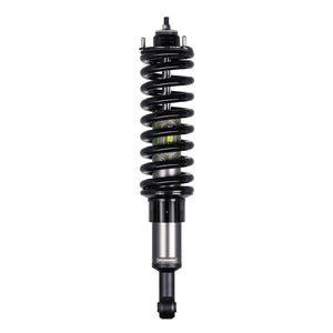 IM2.5 STRUT GUARD KIT (Short)