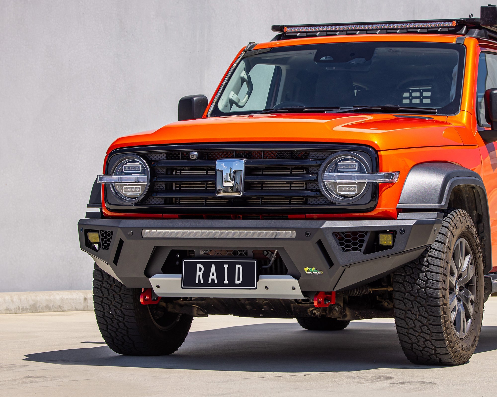 Raid Bull Bar