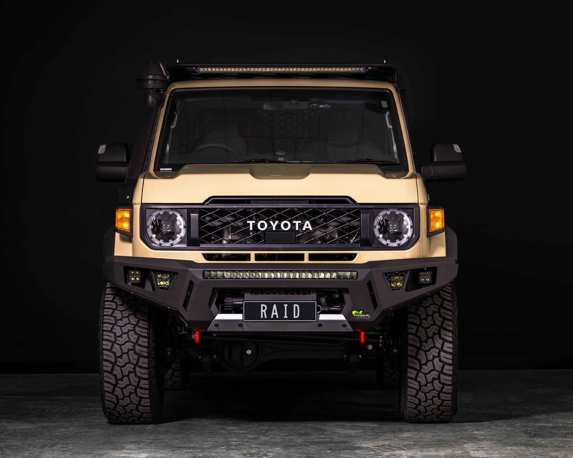 Raid Bull Bar & Lights Kit