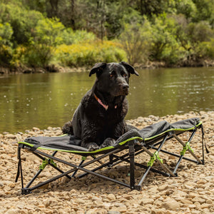 Quick Fold Dog Bed (X-Large, Padded)