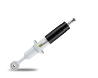 Nitro Gas Strut (Performance)
