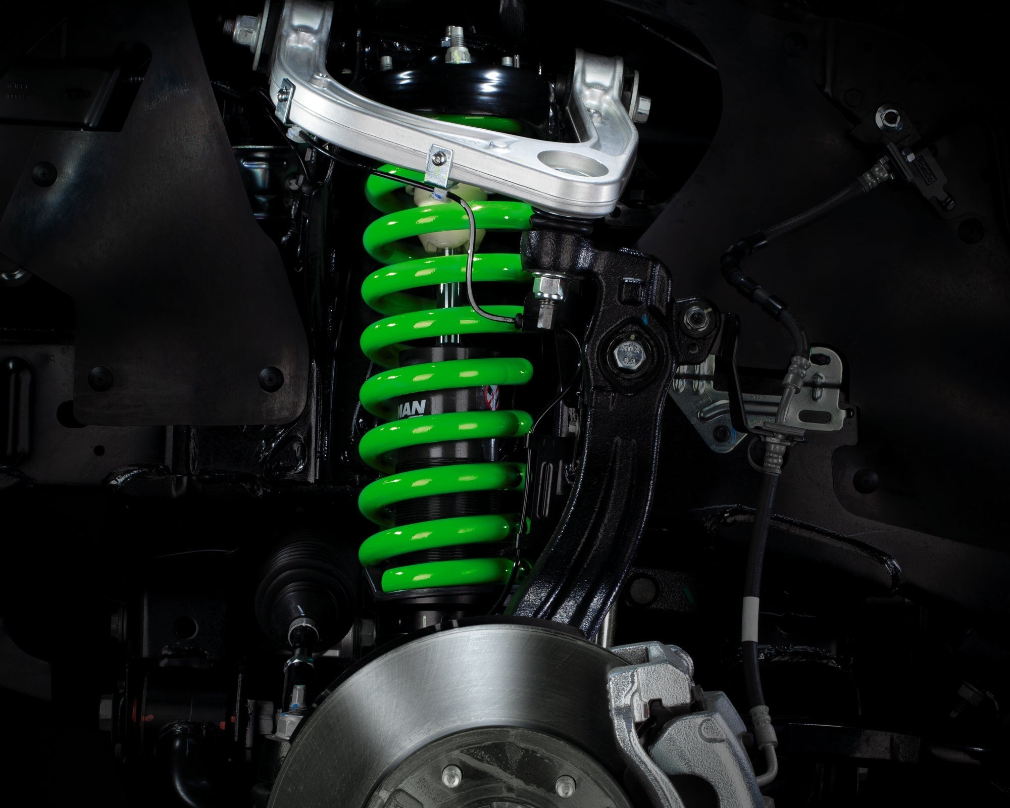 Coil Springs - Medium
