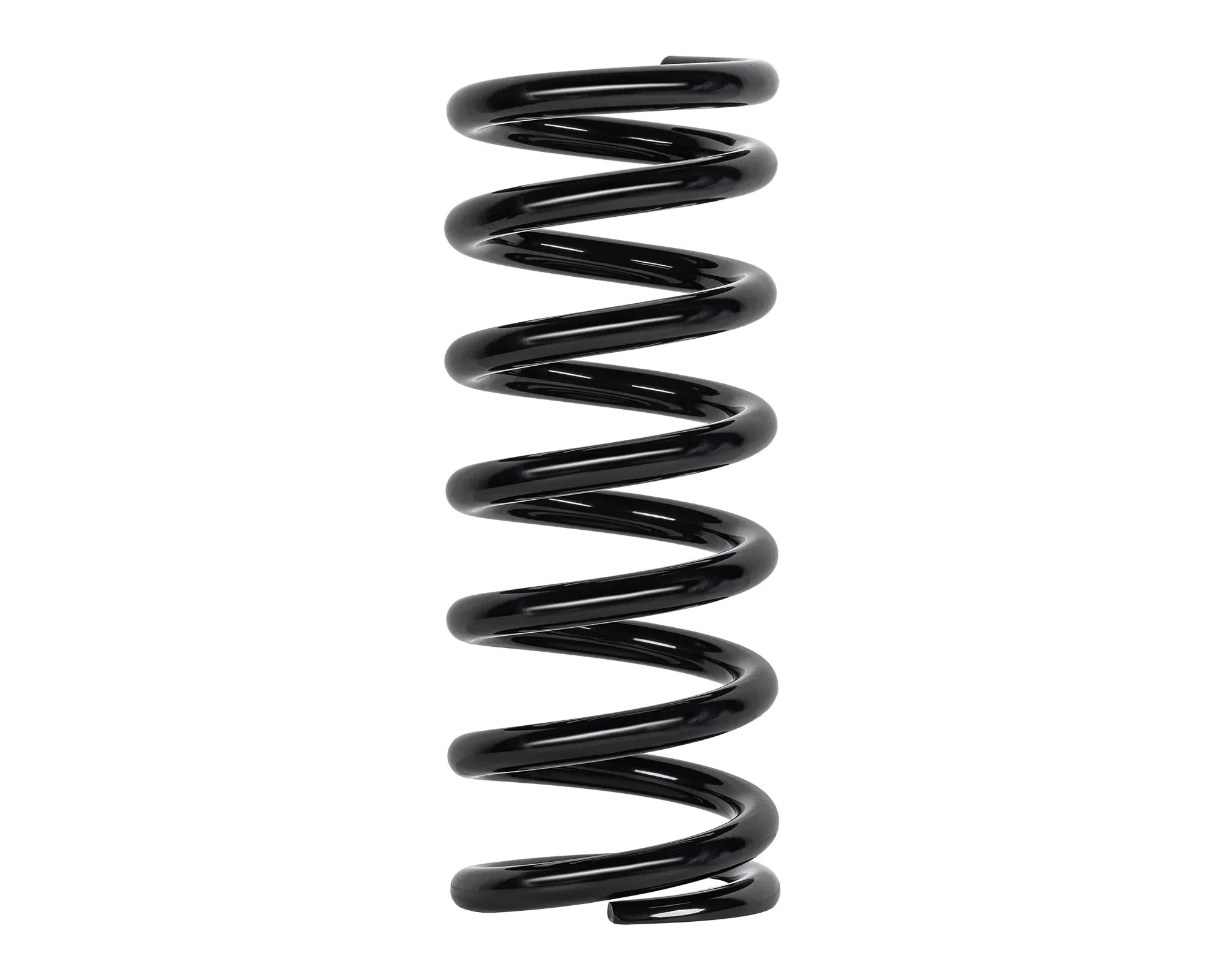 Coil Springs - Medium