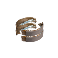 Brake Shoes